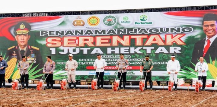 Penanaman Jagung 1 Juta Hektar